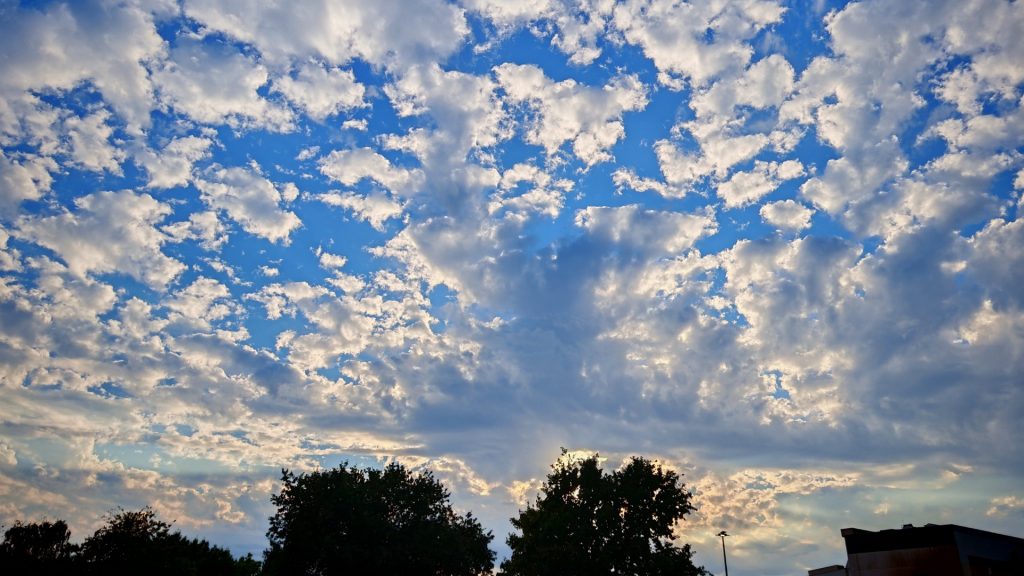 Ein hellblauer Himmel, komplett bedeckt mit vielen kleinen, weißen Schäfchenwolken. Nur am unteren Rand des Bildes sieht man die Umrisse von ein paar Bäumen