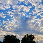 Ein hellblauer Himmel, komplett bedeckt mit vielen kleinen, weißen Schäfchenwolken. Nur am unteren Rand des Bildes sieht man die Umrisse von ein paar Bäumen.