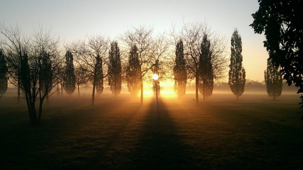Ein Sonnenaufgang bei Nebel hinter einer Baumreihe. Der Vordergrund und auch die Bäume, sind nur als schwarze Umrisse zu erkennen. Hinter dem mittleren Baum geht die Sonne auf und die Sonnenstrahlen scheinen, verstärkt durch den feuchten Nebel, zwischen den Bäumen hindurch nach vorne ins Bild.