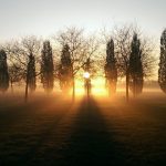 Ein Sonnenaufgang bei Nebel hinter einer Baumreihe. Der Vordergrund und auch die Bäume, sind nur als schwarze Umrisse zu erkennen. Hinter dem mittleren Baum geht die Sonne auf und die Sonnenstrahlen scheinen, verstärkt durch den feuchten Nebel, zwischen den Bäumen hindurch nach vorne ins Bild.