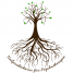Praxis-Logo von Alexandra Winkens: Ein dunkelbrauner gemalter Baum mit vielen, verzweigten Wurzeln. An den fast kahlen Ästen hängen ein paar vereinzelte, frische, grüne Blätter. Unter dem Logo steht in einem Rundbogen, der sich nach oben hin öffnet, in dunkelbrauner Schreibschrift "Heilpraktikerin für Psychotherapie"