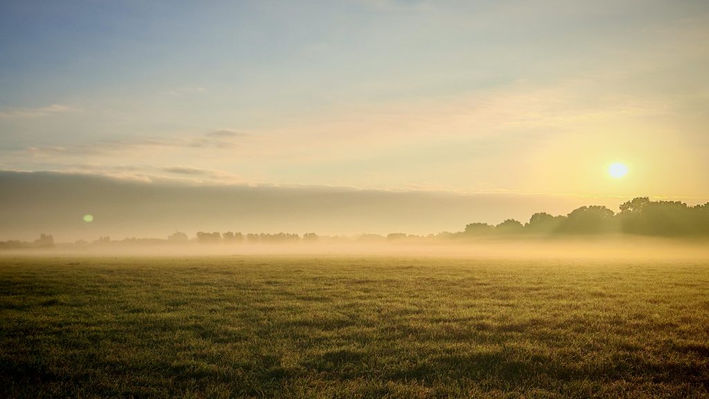 Das Titelbild zum Blogartikel: Glossar zum Thema chronische Schmerzen - die wichtigsten Begriffe. Ein Sonnenaufgang über einem, mit Nebel bedeckten, Feld.