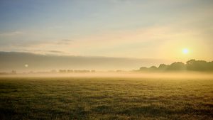 Das Titelbild zum Blogartikel: Glossar zum Thema chronische Schmerzen - die wichtigsten Begriffe. Ein Sonnenaufgang über einem, mit Nebel bedeckten, Feld.
