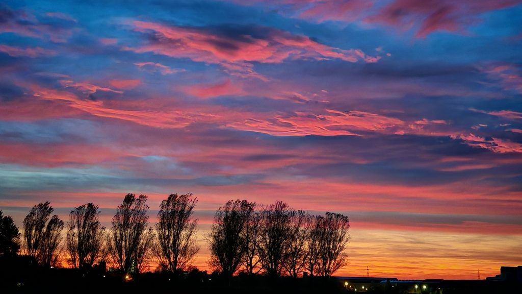 Beitragsbild für Blogartikel Chronische Schmerzen Mythen. Ein Sonnenuntergang an einem lila gefärbtem Hillel mit rosa angestrahlten Wolken. Am unteren Bildrand ist der Himmel in orangetönen gefärbt und man sieht die dunklen Silhouetten einer Baumreihe.
