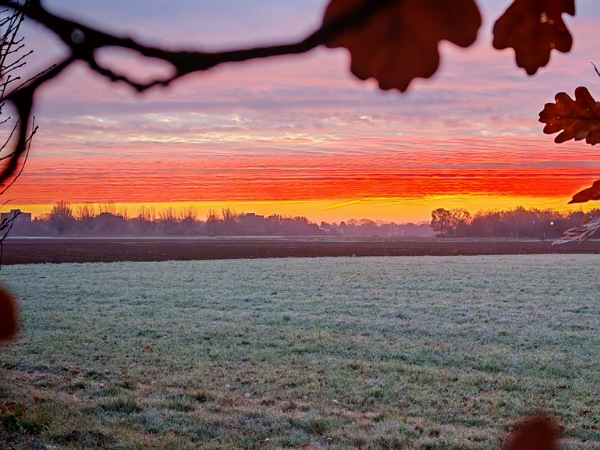 Ein Bild im Blogartikel Monatsrückblick Dezember 2025 von Alexandra Winkens. Zwischen Baumästen hindurch fotografierte, vereiste Wiese mit einem orange-gelben Sonnenaufgang im Hintergrund.