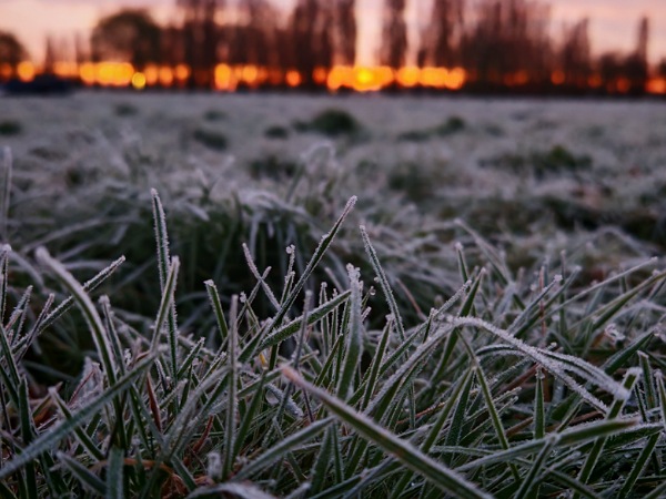 Ein Bild im Blogartikel Monatsrückblick Dezember 2025 von Alexandra Winkens. Man sieht in der Nahaufnahme eine vereiste Wiese und am Horizont, unscharf ein paar Bäume, hinter denen in orangen Tönen, die Sonne aufgeht.
